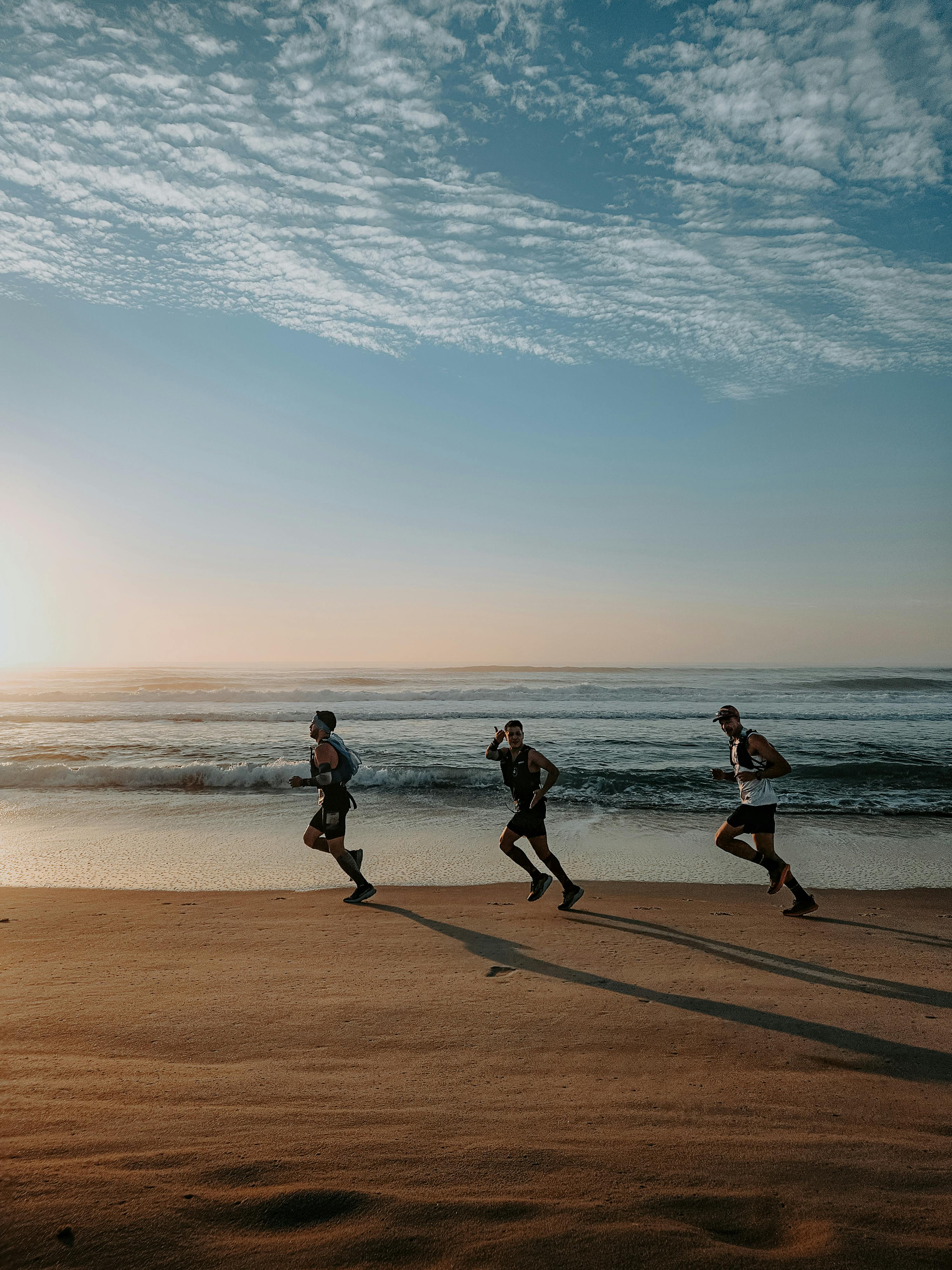 Lifespire Member Dashboard